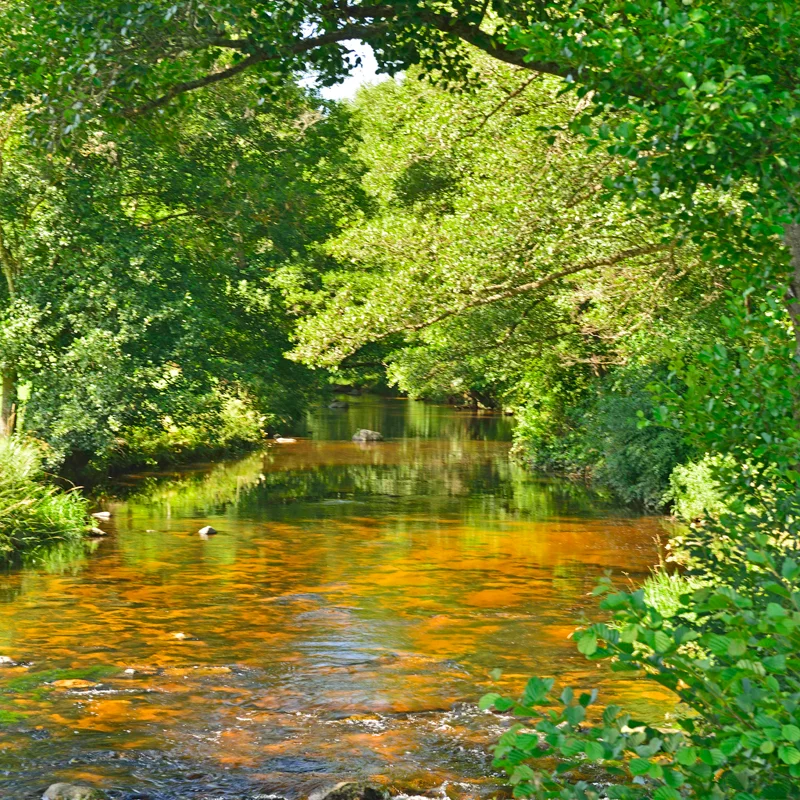 Randonnée PR689 Autour du Champdieu · Saint-Julien-d'Ance