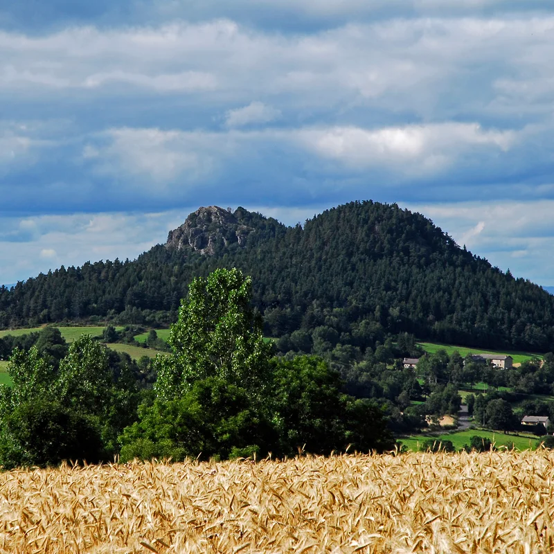 Randonnée PR367 Le Montivernoux · Yssingeaux