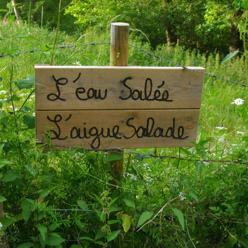 Randonnée PR247 A la recherche de l'eau salée · Vorey-sur-Arzon