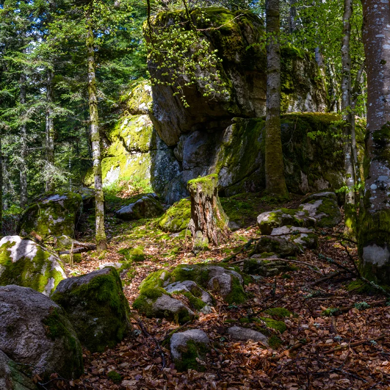 Randonnée PR614 La roche Martine · Connangles