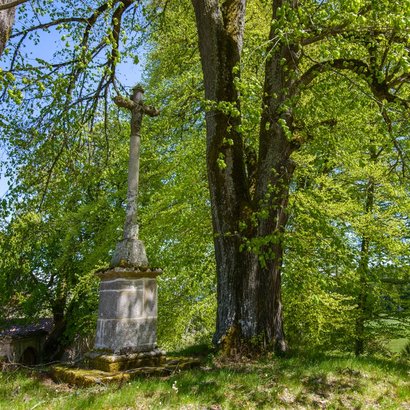 Randonnée PR103 Folgoux et l'arboretum · Malvières