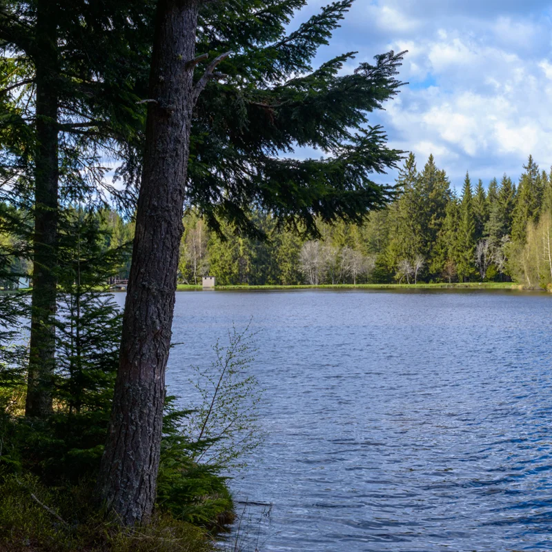 Randonnée PR101 La croix du Bancillon · Malvières