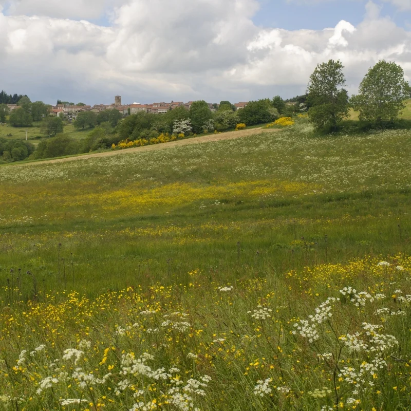 Randonnée PR162 La Pierre Plantée · Champagnac-le-Vieux