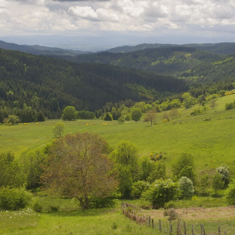 Randonnée PR175 Le Sentier du Muletier · Saint-Vert