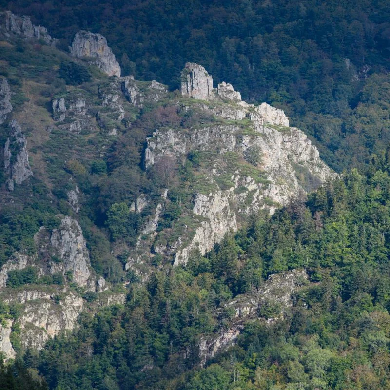 Randonnée PR261 Les Aiguilles · Monistrol-d'Allier