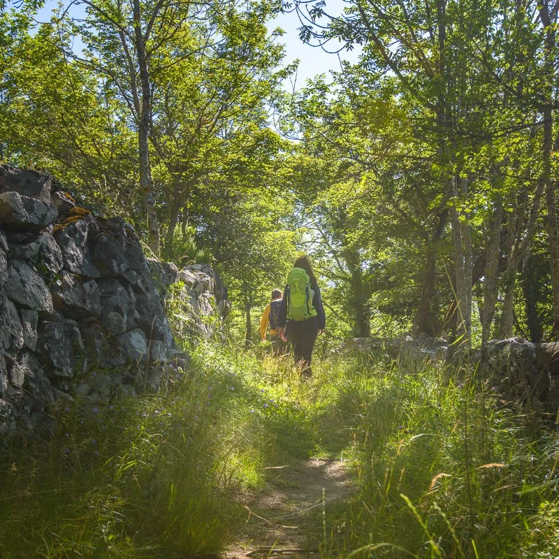 Randonnée PR458 La forêt de Chamblard · Venteuges