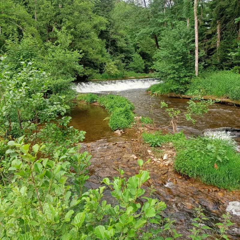 Randonnée PR293 Le moulin du Pré · Saint-Pal-de-Mons