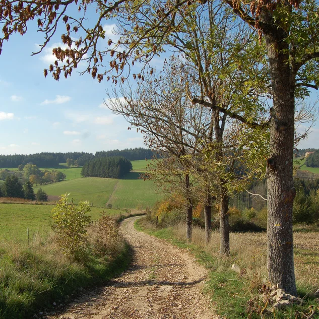 Randonnée PR276 Le tour des moulins de la Semène · Saint-Victor-Malescours
