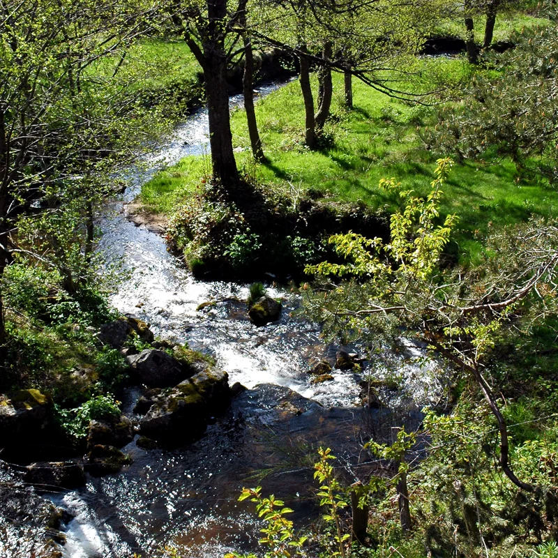 Randonnée PR297 Autour du moulin de Vial · Saint-Pal-de-Mons
