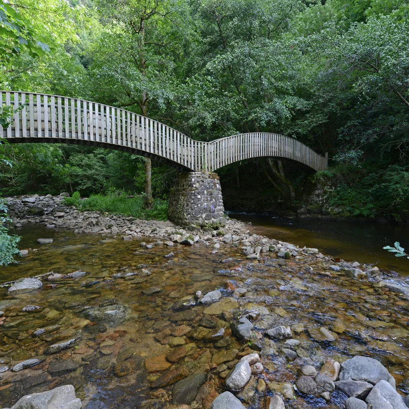 Randonnée PR519 Les gorges de Vaubarlet · Sainte-Sigolène