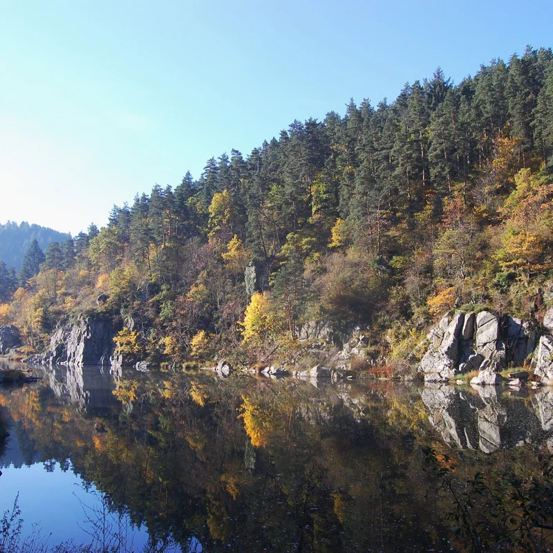 Randonnée PR299 Le ruisseau du Moulina · La Chapelle-d'Aurec