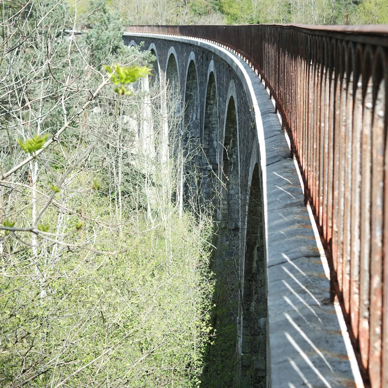 Randonnée PR386 Le bois de Villeneuve · Saint-Ferréol-d'Auroure