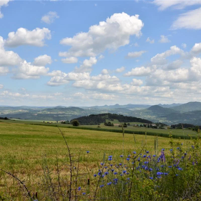 Randonnée PR212 La vallée de l'Ance · Solignac-sous-Roche