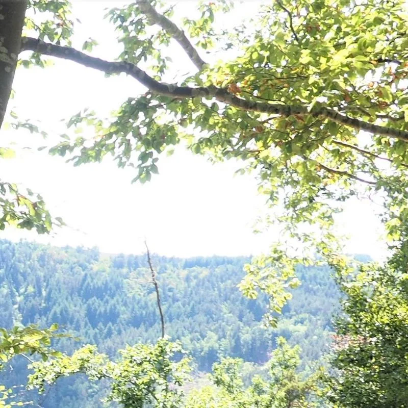 Randonnée PR681 De Chomont aux Côtes · Valprivas