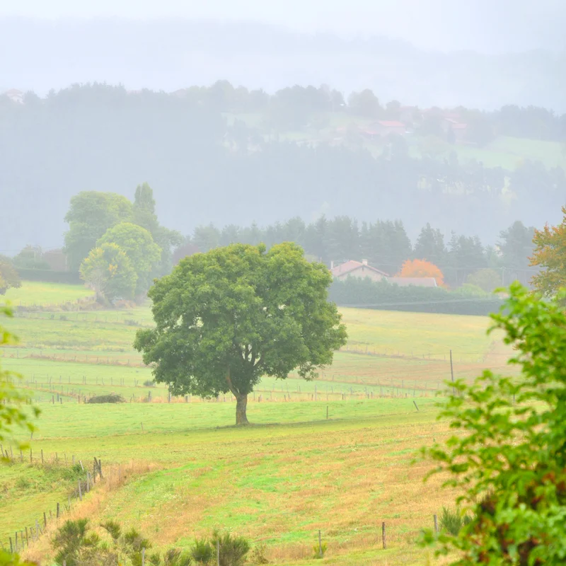Randonnée PR688 Le chemin des Trois Provinces · Craponne-sur-Arzon