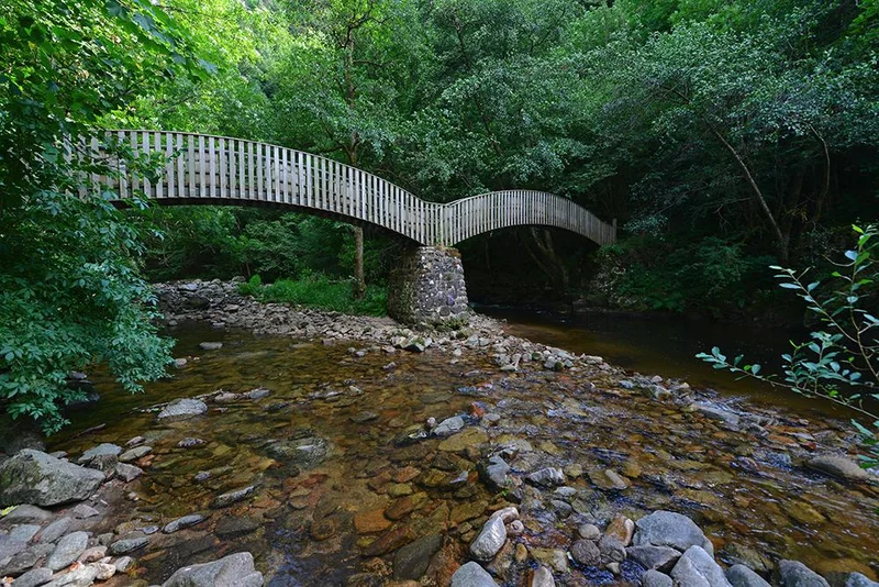 Vélo de route 41 - Autour de la Dunière · Sainte-Sigolène
