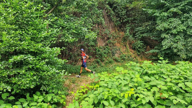 Trail T25 - La montée du Relais · Auzon