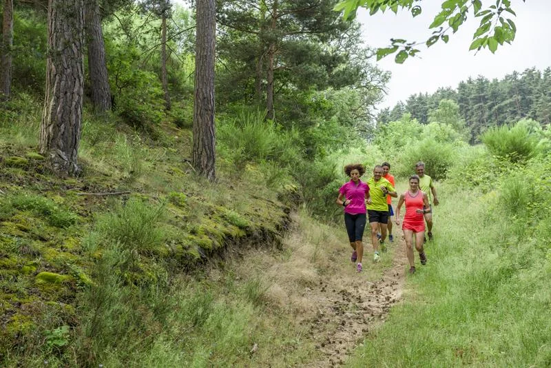 Trail T28 - Le Ruisseau de Rivoire · Aurec-sur-Loire