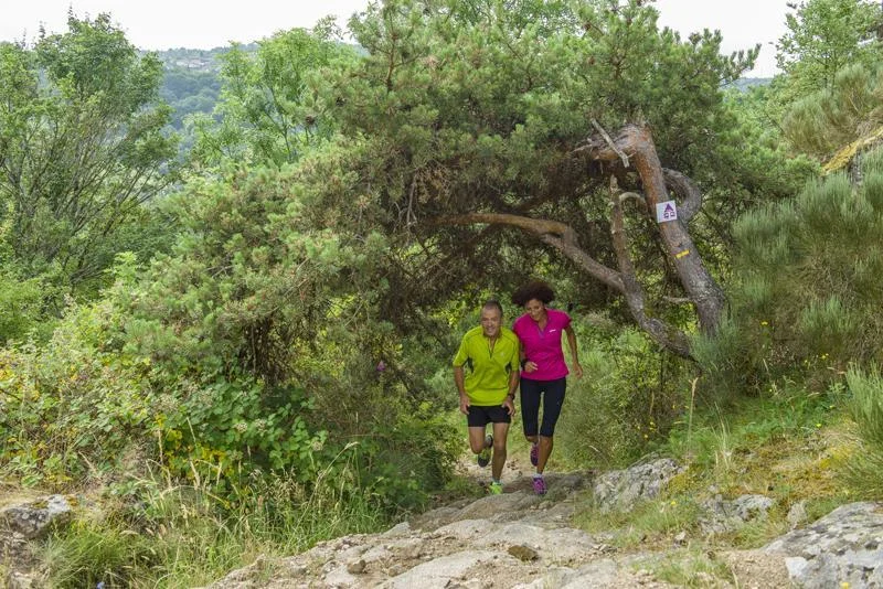 Trail T29 - Le Passe-Vite · Aurec-sur-Loire