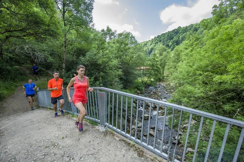 Trail T33 - Les onze ponts · Saint-Ferréol-d'Auroure