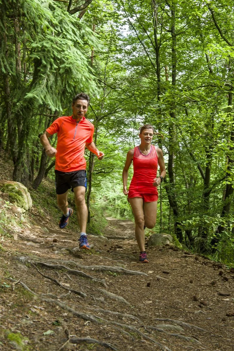 Trail T34 - La Gampille · Saint-Ferréol-d'Auroure