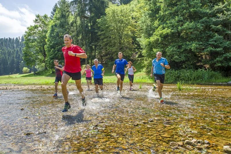 Trail T40 - Le Bois de Bramard · Saint-Didier-en-Velay
