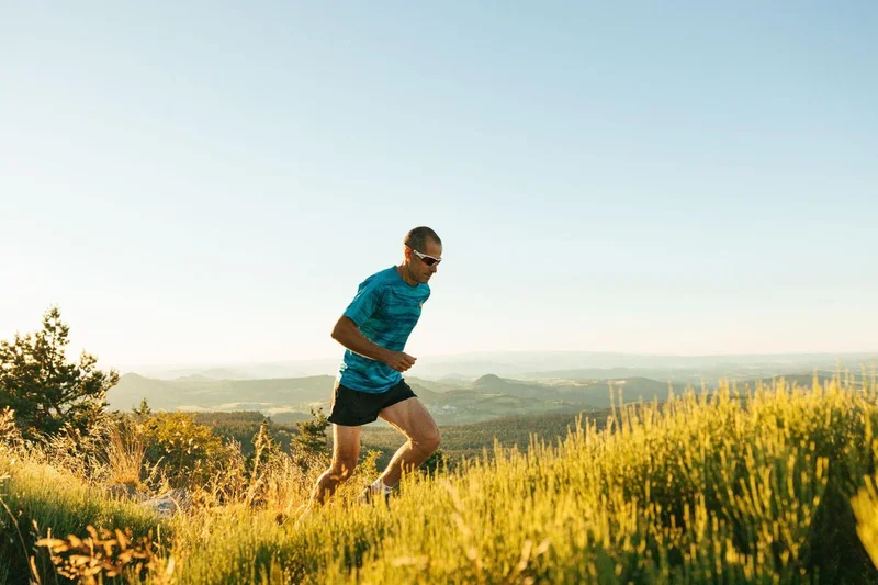 Trail T54 - Le Pic du Lizieux · Tence