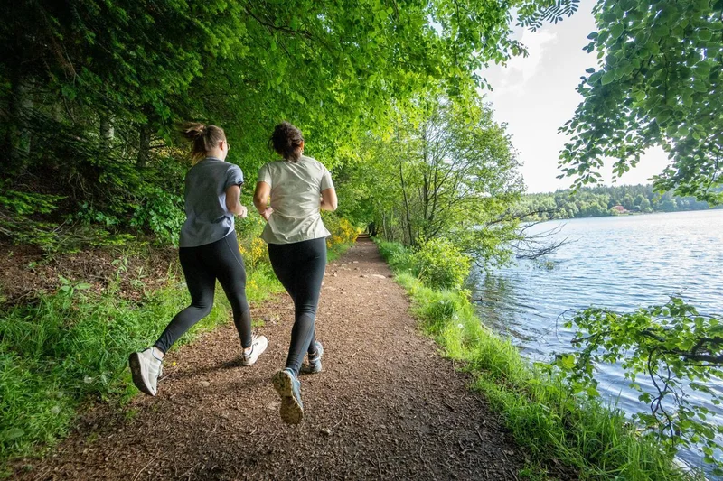 Trail T55 - Au coeur du cratère · Cayres