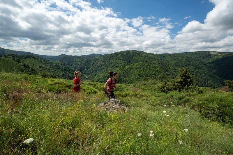 Trail T57 - Le tour du mont Farnier · Cayres