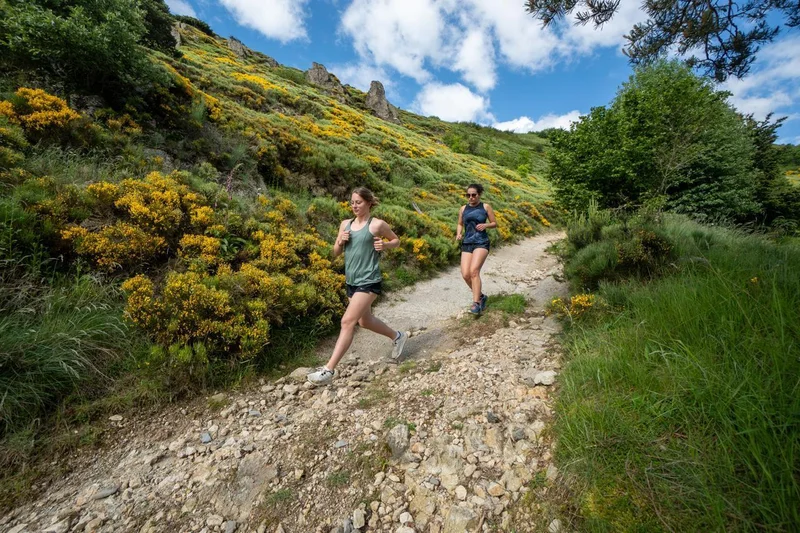 Trail T58 - En surplombant l'Allier · Cayres