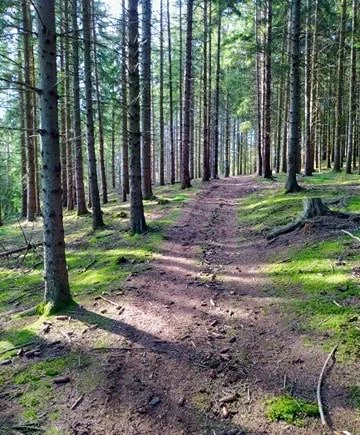 Trail T72 - Château de Beaudinet · Saint-Bonnet-le-Froid