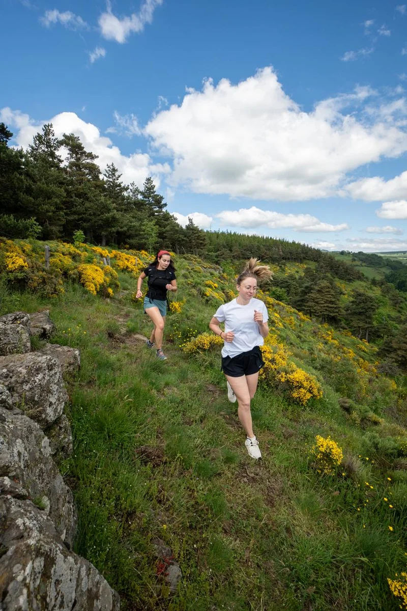 Trail T08 - Le Testavoyre · Queyrières