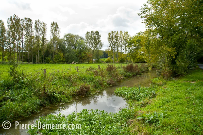 Randonnée Le circuit de l'eau · Saint-Germain-des-Essourts