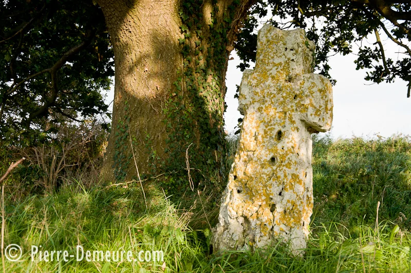 Randonnée La Croix du Thil · Saint-Aignan-sur-Ry