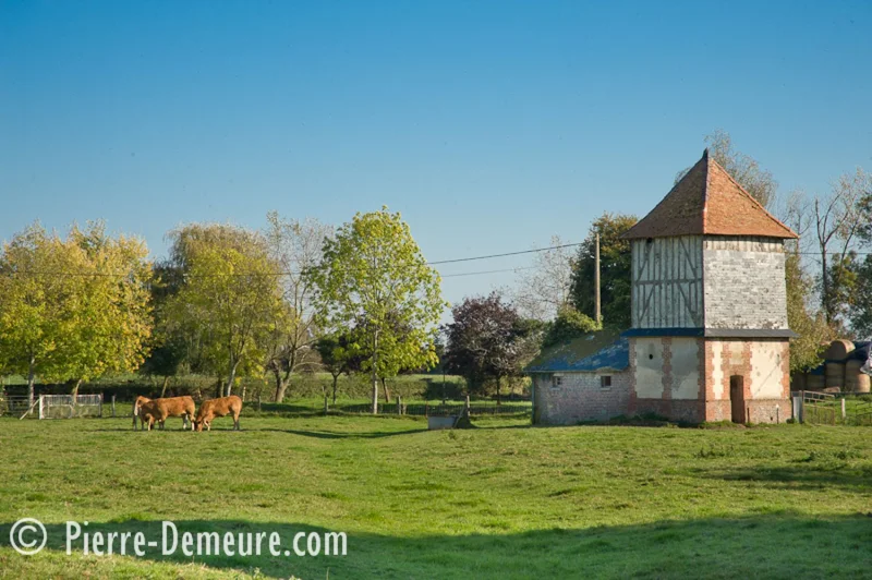 Randonnée Le dîmage · Auzouville-sur-Ry