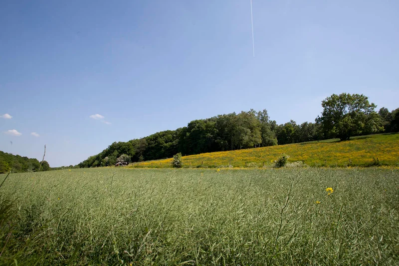 Randonnée Le chemin des écoliers · Grainville-sur-Ry