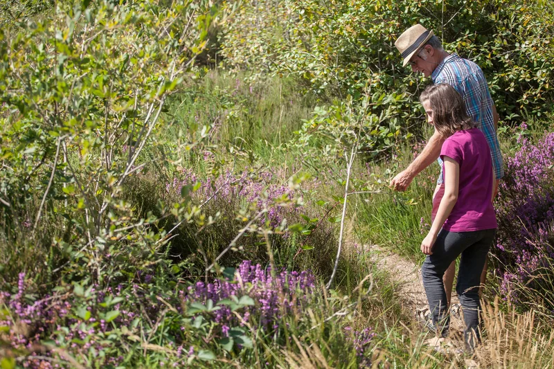 Randonnée Sentier nature - Le camp des Romains · Cinais