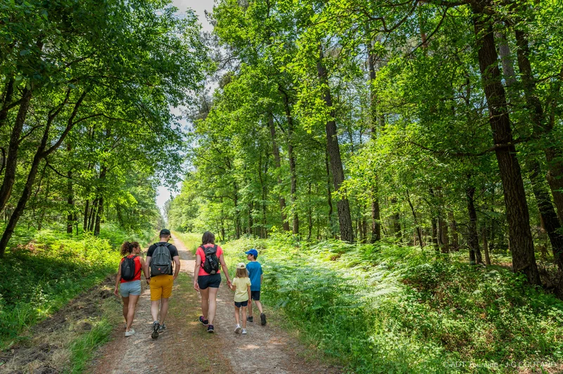 Randonnée Sentier pédestre de Huismes - Circuit N°1 · Huismes