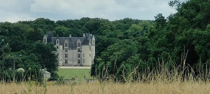 Randonnée Détours entre Vienne et Veude · Anché