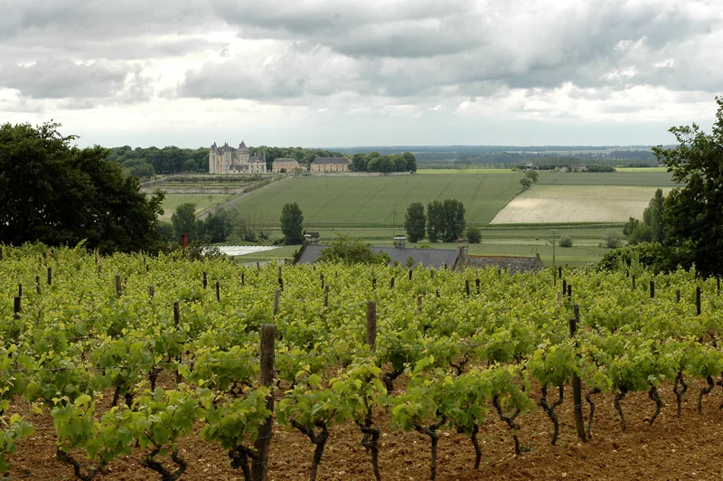 Randonnée Seuilly · Seuilly