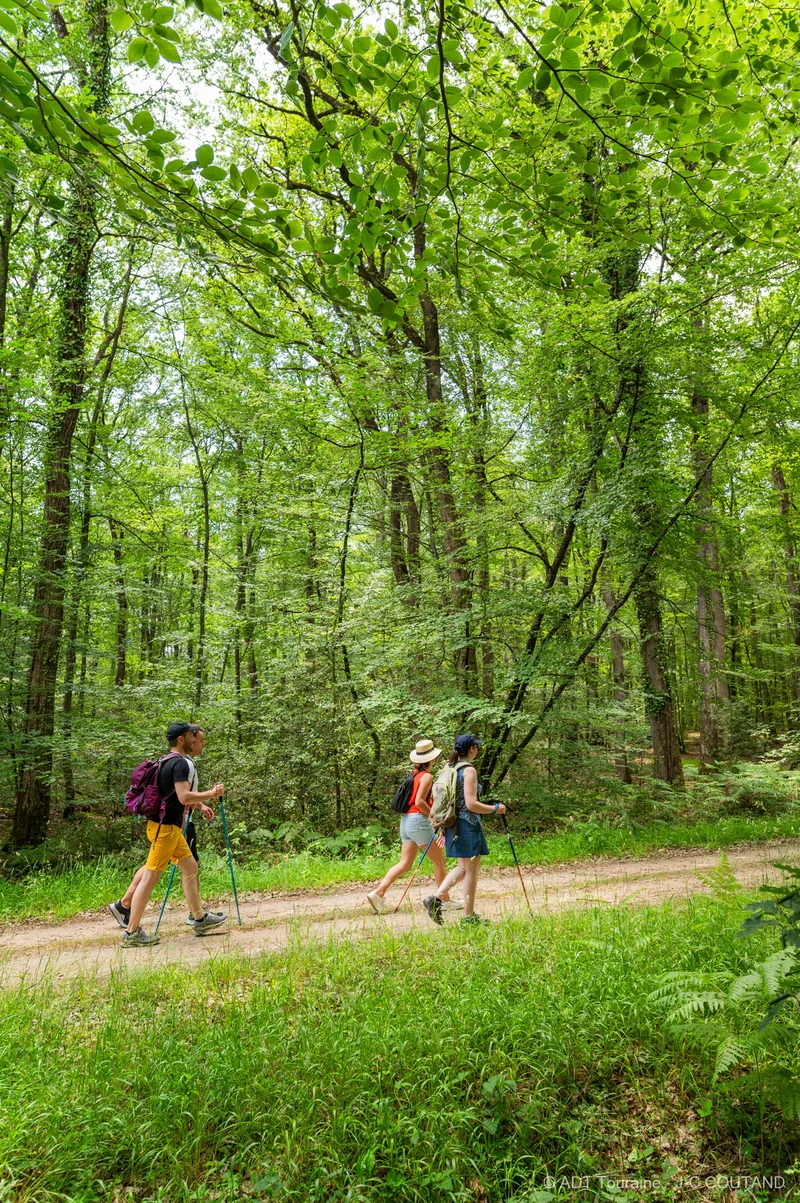 Randonnée Saint-Benoît-la-Forêt - N°1 · Saint-Benoît-la-Forêt