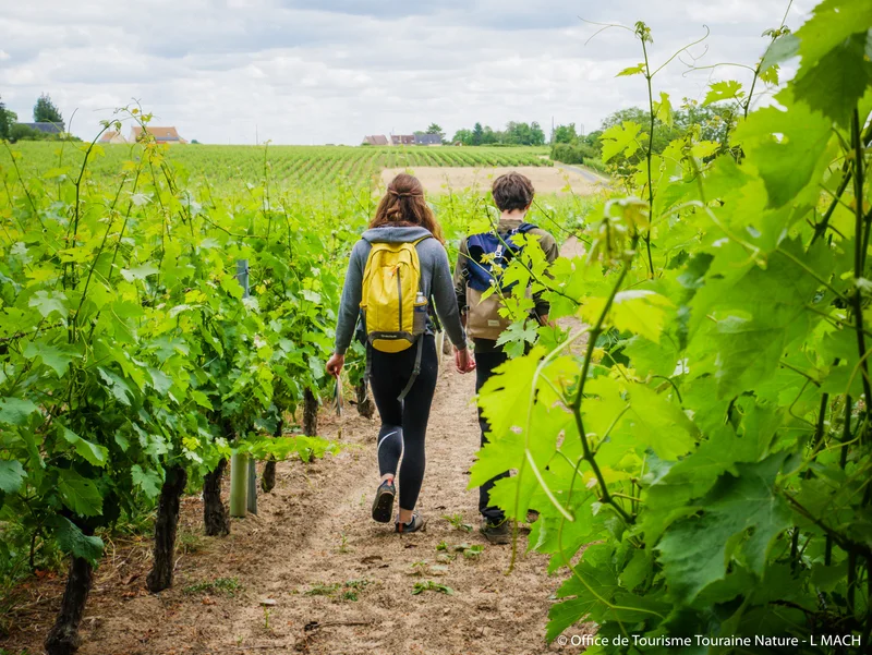 Randonnée Benais : De verts coteaux au blanc tuffeau · Benais