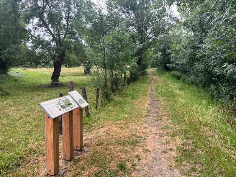 Randonnée Sentier nature de la "Grande Île" · Saint-Rémy-la-Varenne