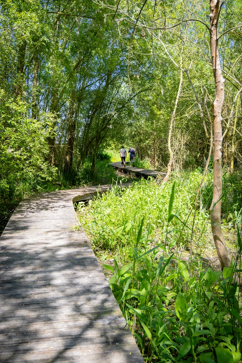 Randonnée Sentier nature - Le Marais de Taligny · La Roche-Clermault