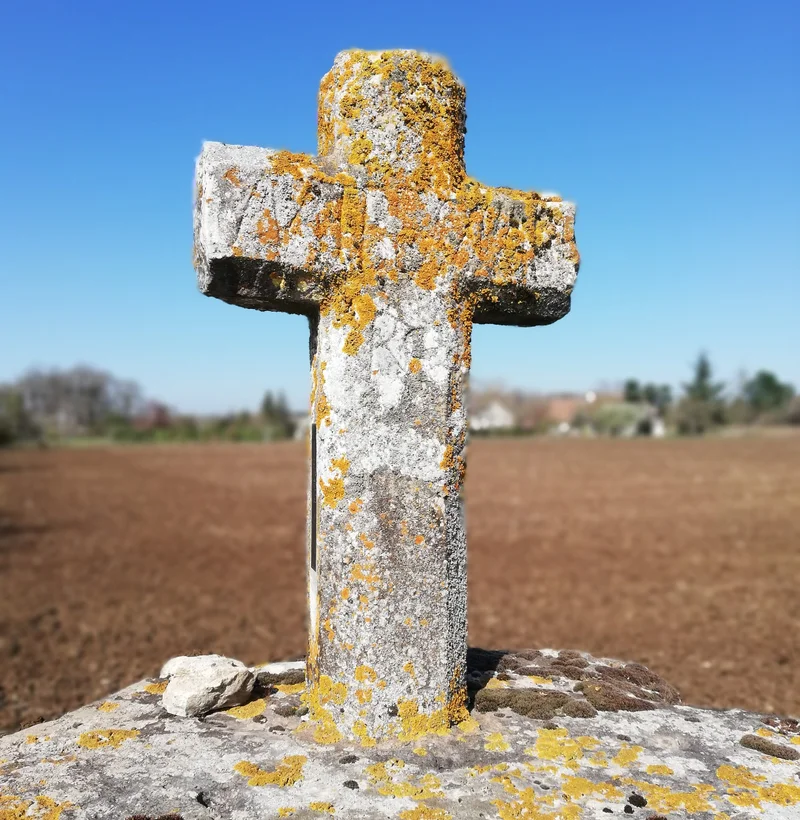 Randonnée La Croix de l'Apothicaresse · Truyes