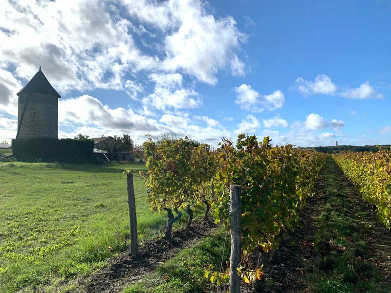 Randonnée Circuit de randonnée : Vignes et bois · Les Ulmes