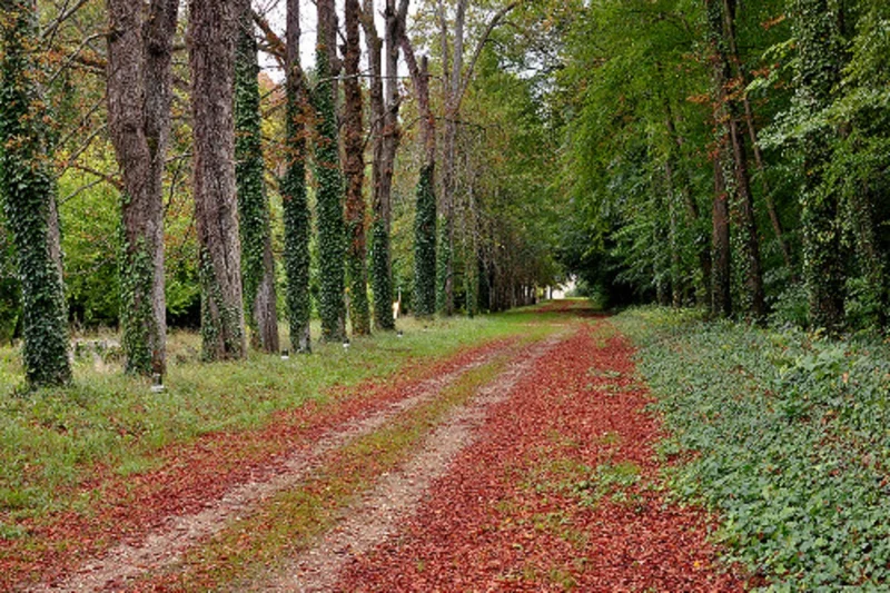 Randonnée Circuit de randonnée : Vernantes · Vernantes