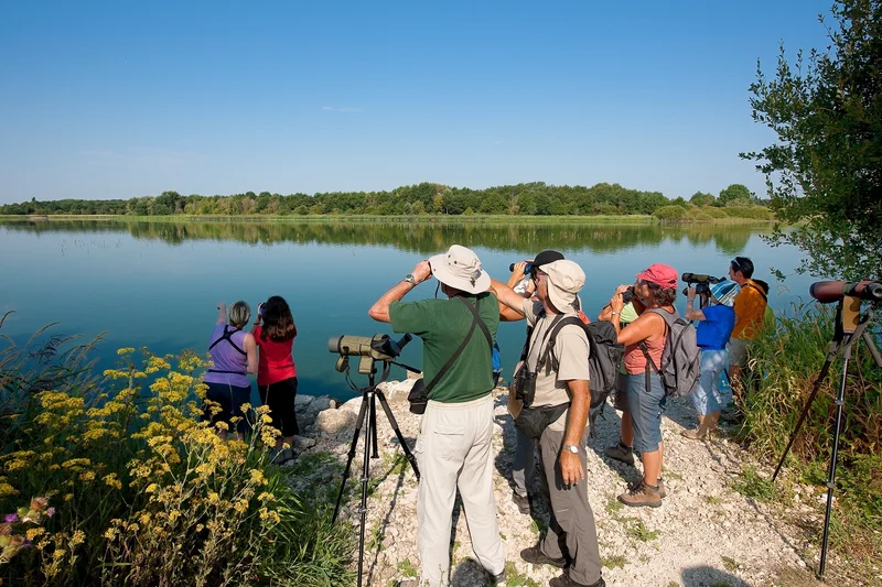 Randonnée Le lac de Rillé · Rillé