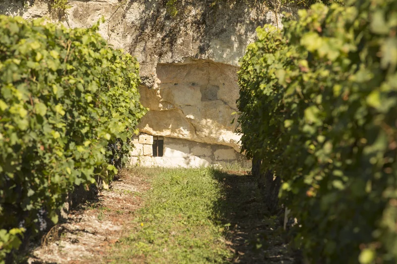 Randonnée Sentier de découverte – La double vie du coteau · Benais