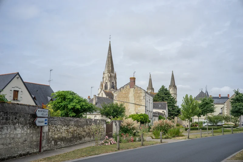 Randonnée Le Puy-Notre-Dame et son vignoble · Chavannes